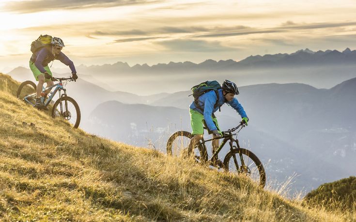 Bikes and horses